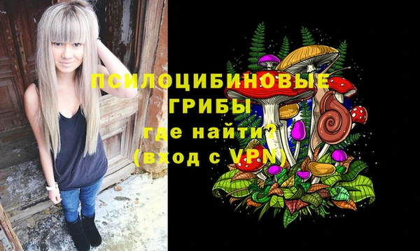 твердый Покров
