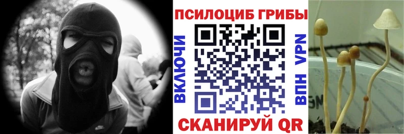 Псилоцибиновые грибы прущие грибы  Купить  Лысьва 